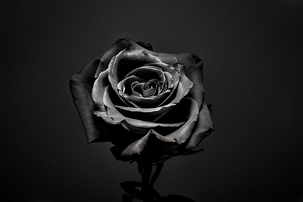 The Meaning of Black Roses