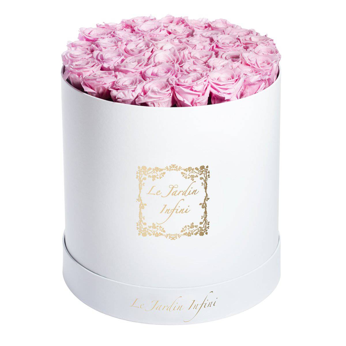 Soft Pink Preserved Roses - Large Round White Box - Le Jardin Infini Roses in a Box