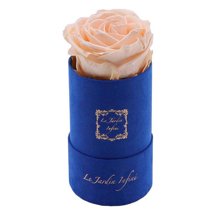 Single Champagne Preserved Rose - Luxury Small Round Blue Suede Box - Le Jardin Infini Roses in a Box