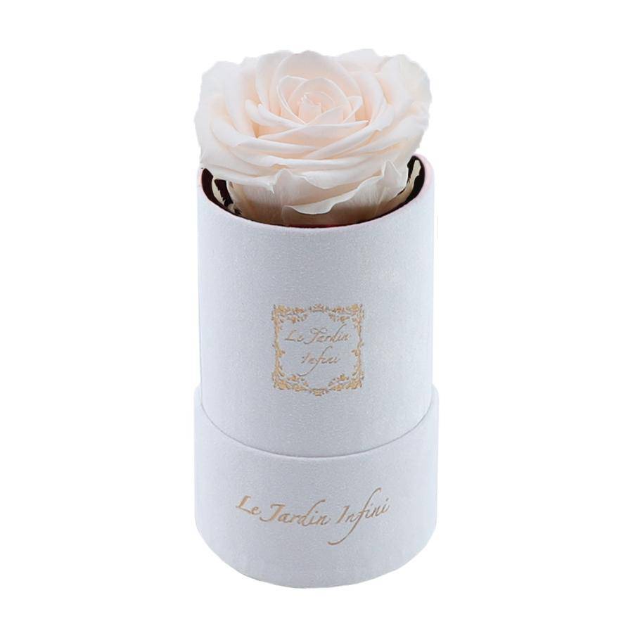 Single Light Champagne Preserved Rose - Luxury Small Round White Suede Box - Le Jardin Infini Roses in a Box