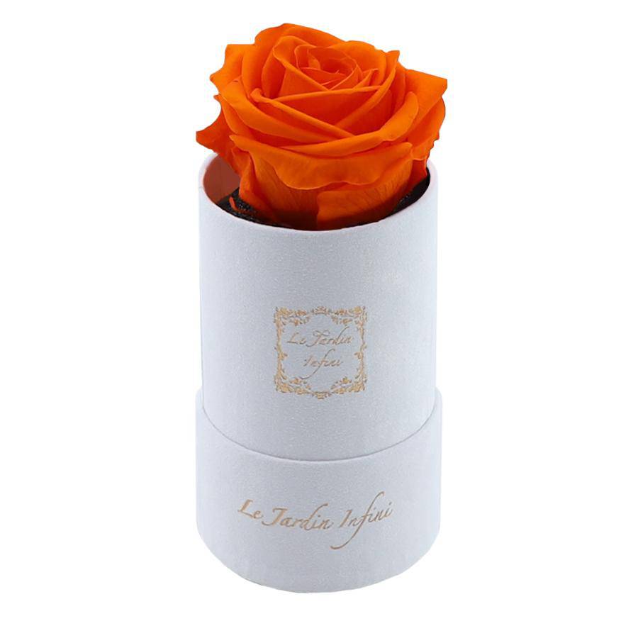Single Orange Preserved Rose - Luxury Small Round White Suede Box - Le Jardin Infini Roses in a Box