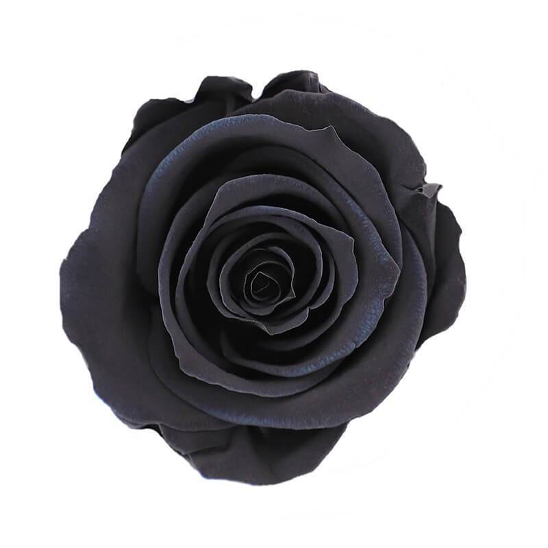 144 Blooms Black Color Wholesale Preserved Roses