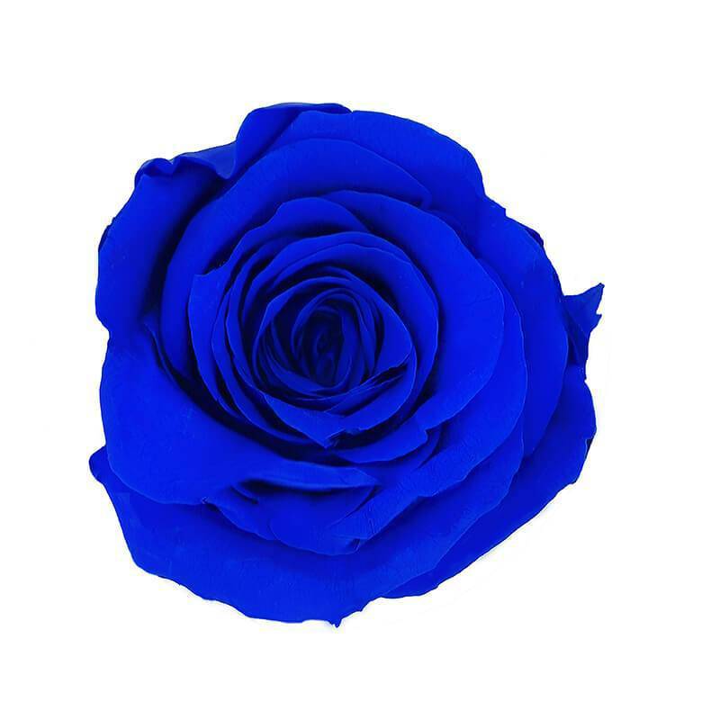 144 Blooms Dark Blue Color Wholesale Preserved Roses