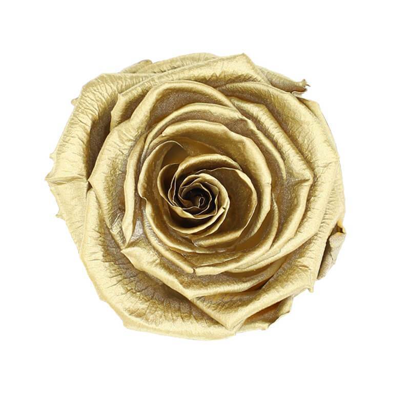144 Blooms Gold Color Wholesale Preserved Roses
