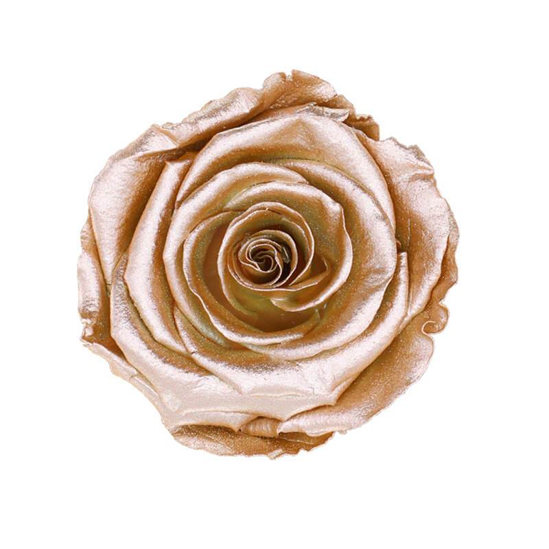 144 Blooms Rose Gold Color Wholesale Preserved Roses Le Jardin Infini
