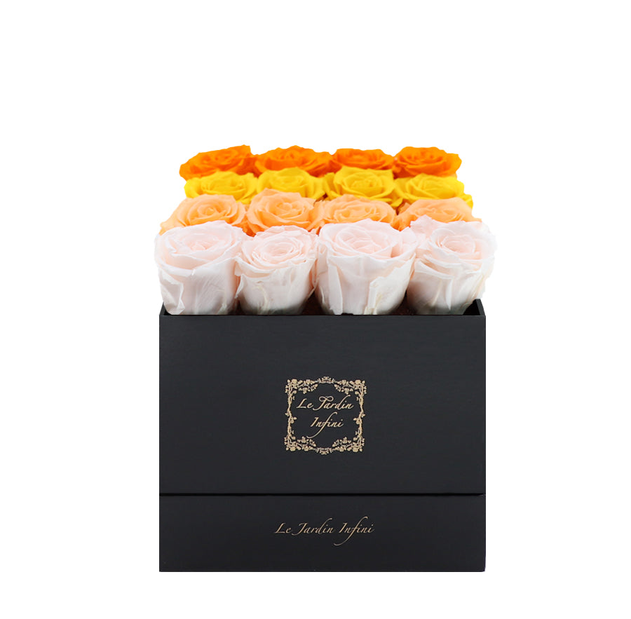 16 Orange, Yellow, Peach & Champagne Rows Preserved Roses - Luxury Square Shiny Black Box
