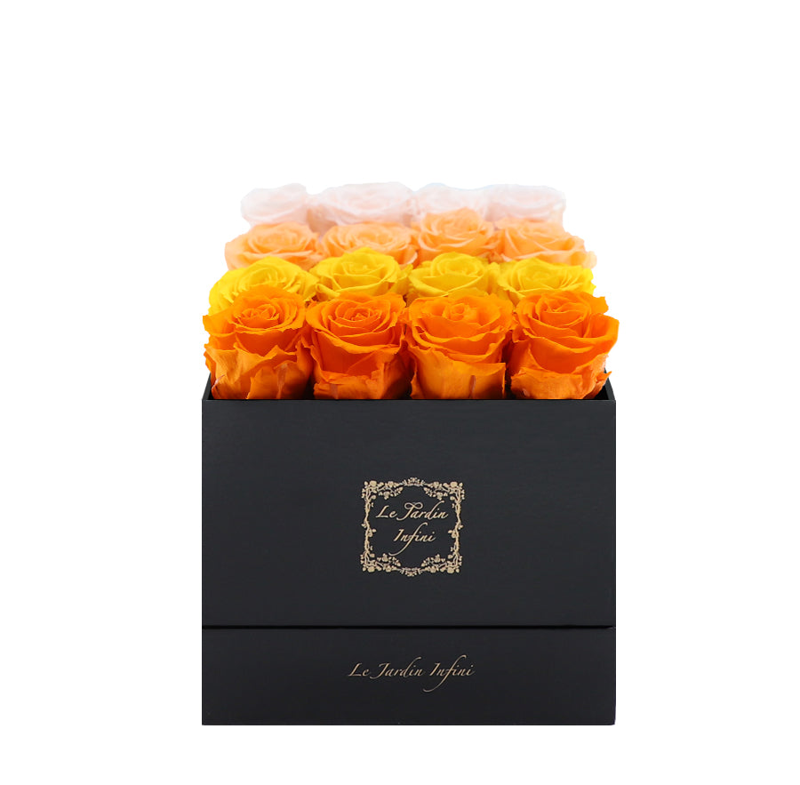 16 Orange, Yellow, Peach & Champagne Rows Preserved Roses - Luxury Square Shiny Black Box