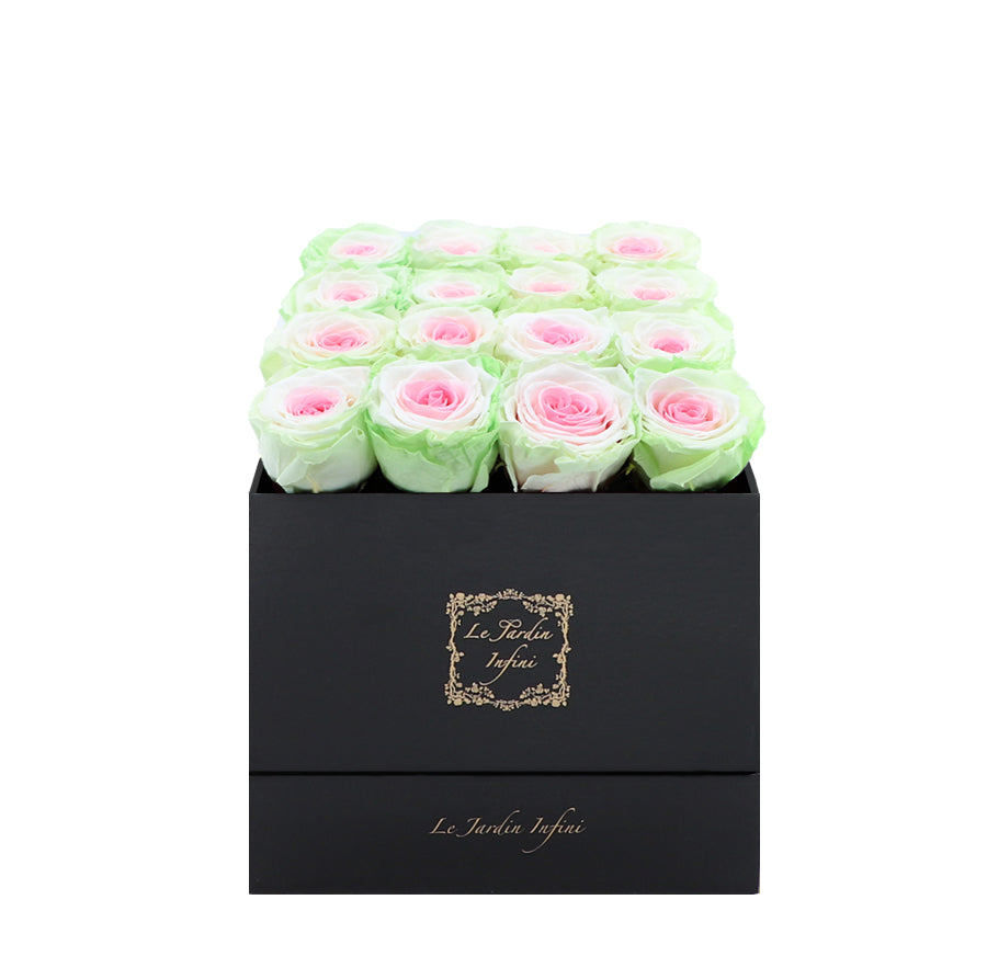 16 Tricolor Preserved Roses - Luxury Square Shiny Black Box