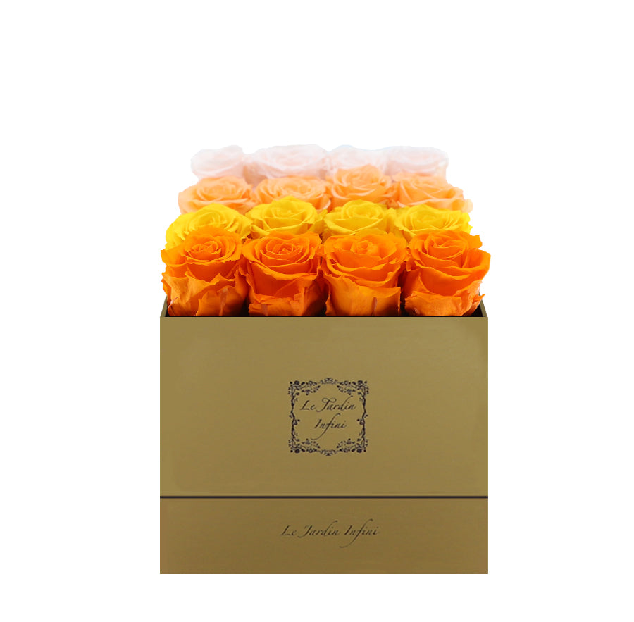16 Orange, Yellow, Peach & Champagne Rows Preserved Roses - Luxury Square Shiny Gold Box