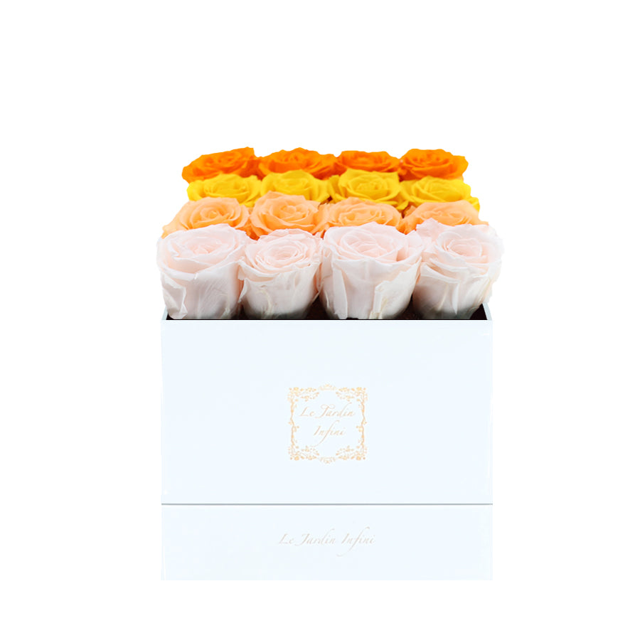 16 Orange, Yellow, Peach & Champagne Rows Preserved Roses - Luxury Square Shiny White Box