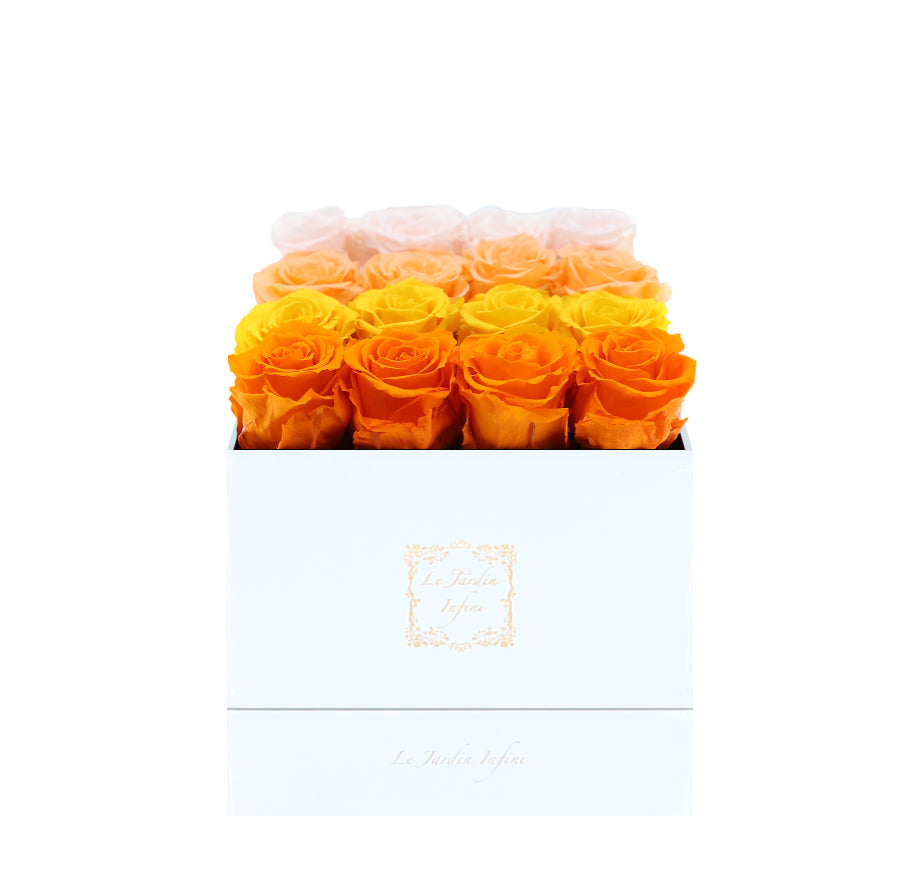 16 Orange, Yellow, Peach & Champagne Rows Preserved Roses - Luxury Square Shiny White Box