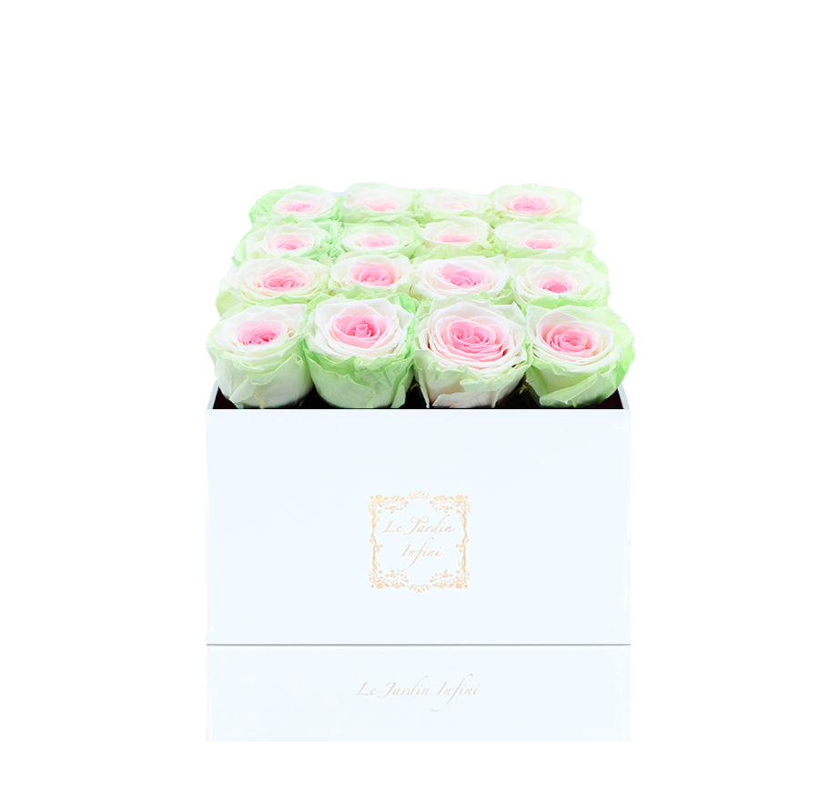 16 Tricolor Preserved Roses - Luxury Square Shiny White Box
