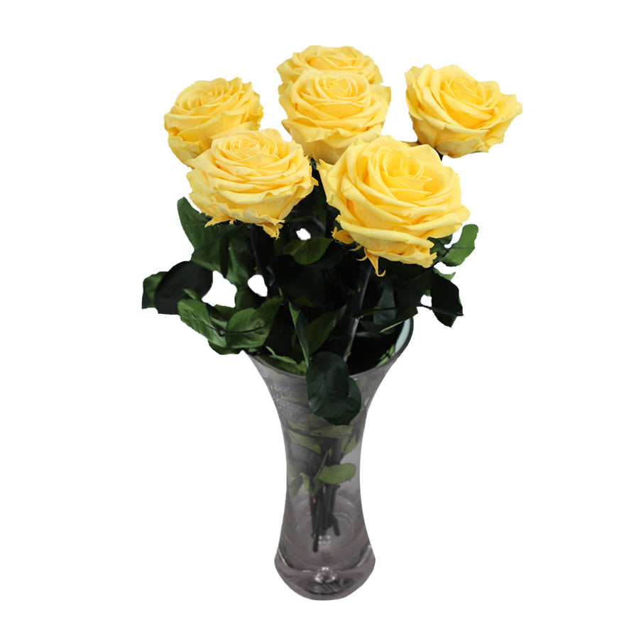 6 Large Bloom Yellow Long Stem Roses - Vase NOT included