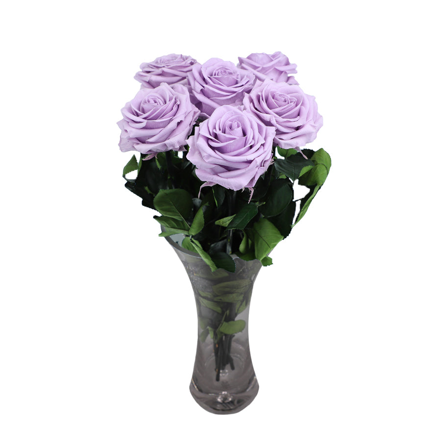 6 Large Lavander Long Stem Roses - Vase NOT included
