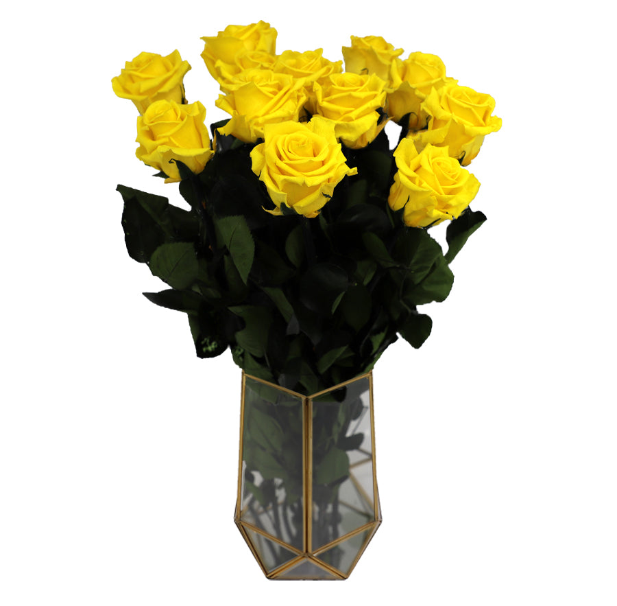 6 Standard Yellow Bloom Long Stem Roses - Vase NOT included