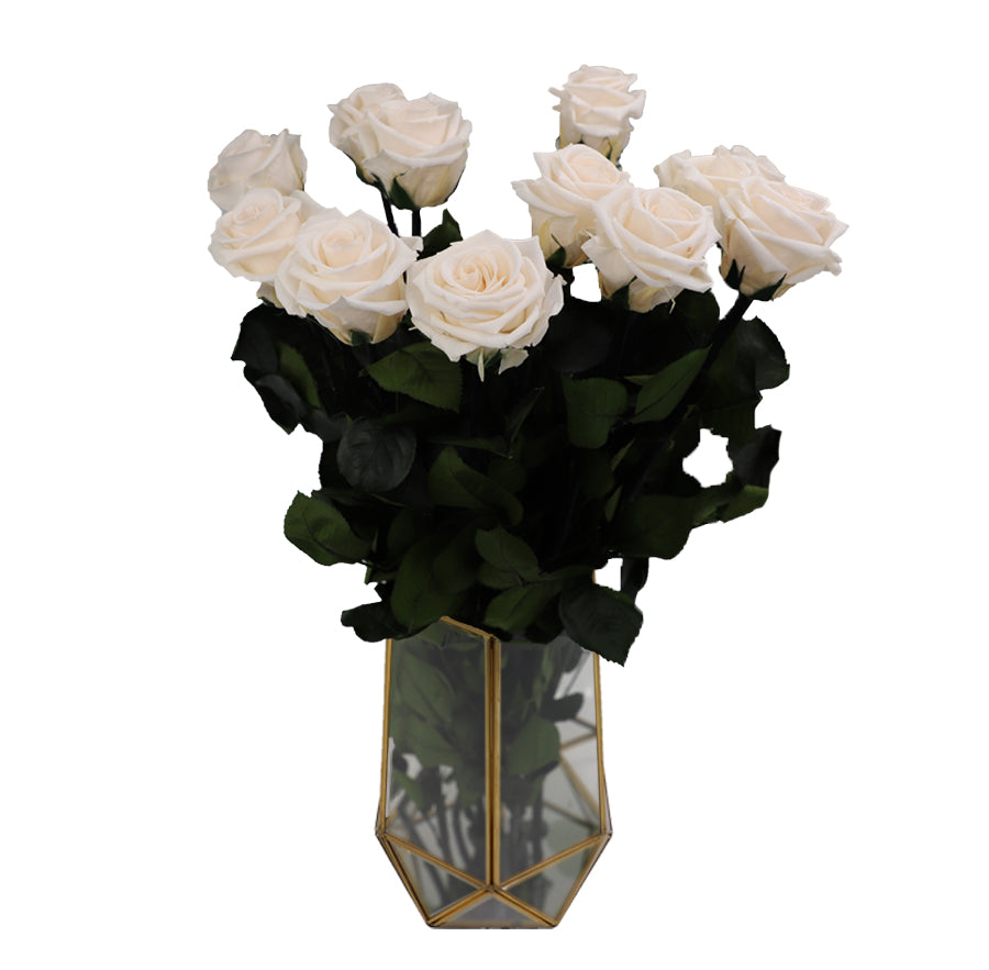 6 Standard Champagne Bloom Long Stem Roses - Vase NOT included