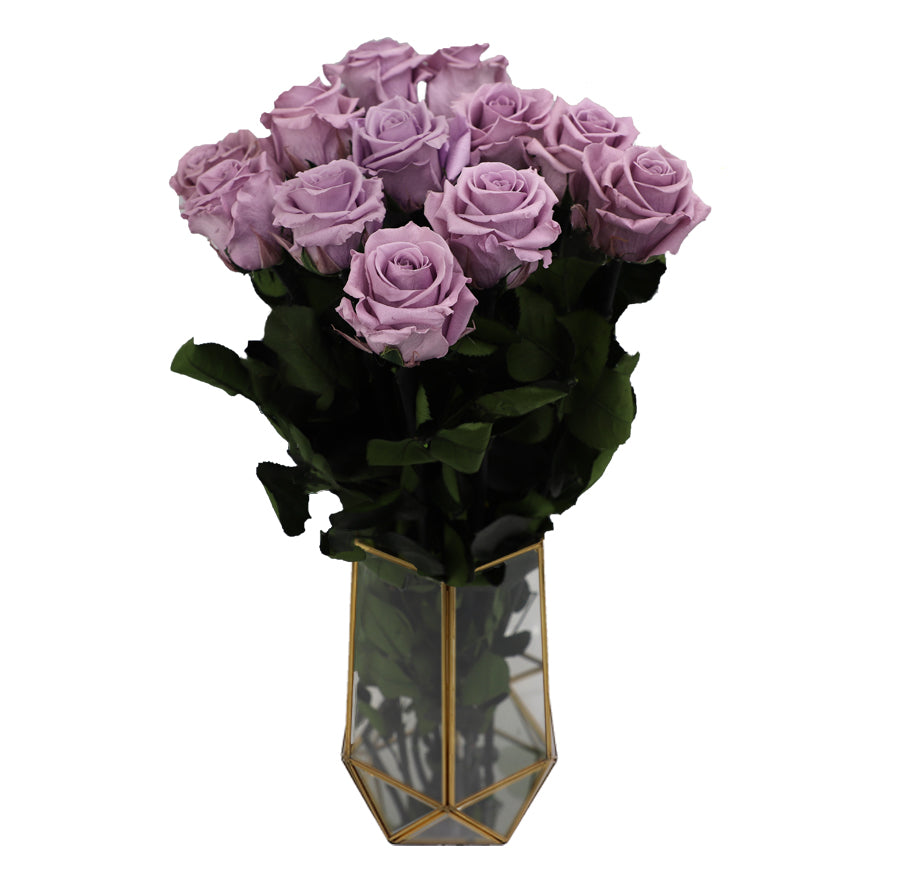 6 Standard Lavander Bloom Long Stem Roses - Vase NOT included