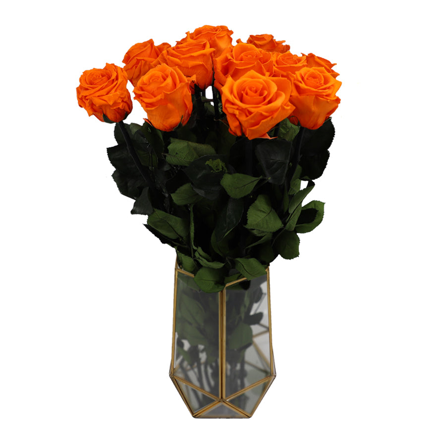 6 Standard Orange Bloom Long Stem Roses - Vase NOT included