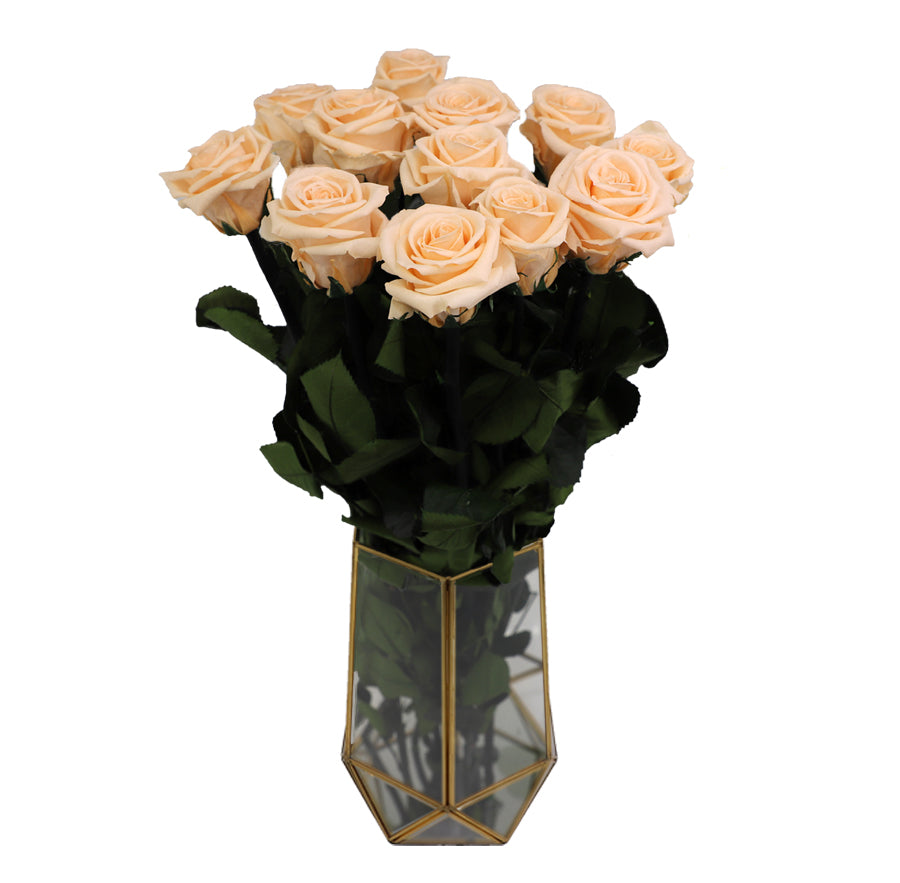 6 Standard Peach Bloom Long Stem Roses - Vase NOT included