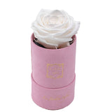 Single White Preserved Rose - Luxury Small Round Pink Suede Box