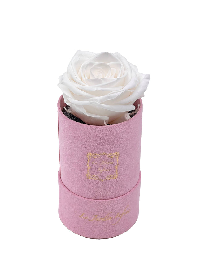 Single White Preserved Rose - Luxury Small Round Pink Suede Box