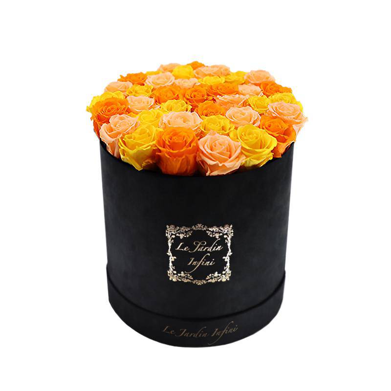 Fall Mix Preserved Roses - Large Round Luxury Black Suede Box
