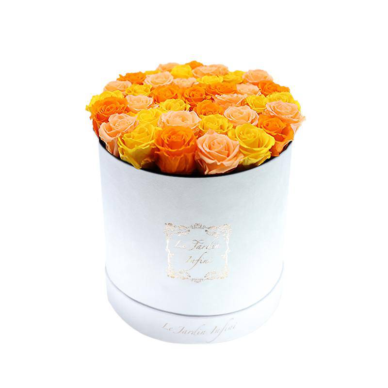 Fall Mix Preserved Roses - Large Round Luxury White Suede Box