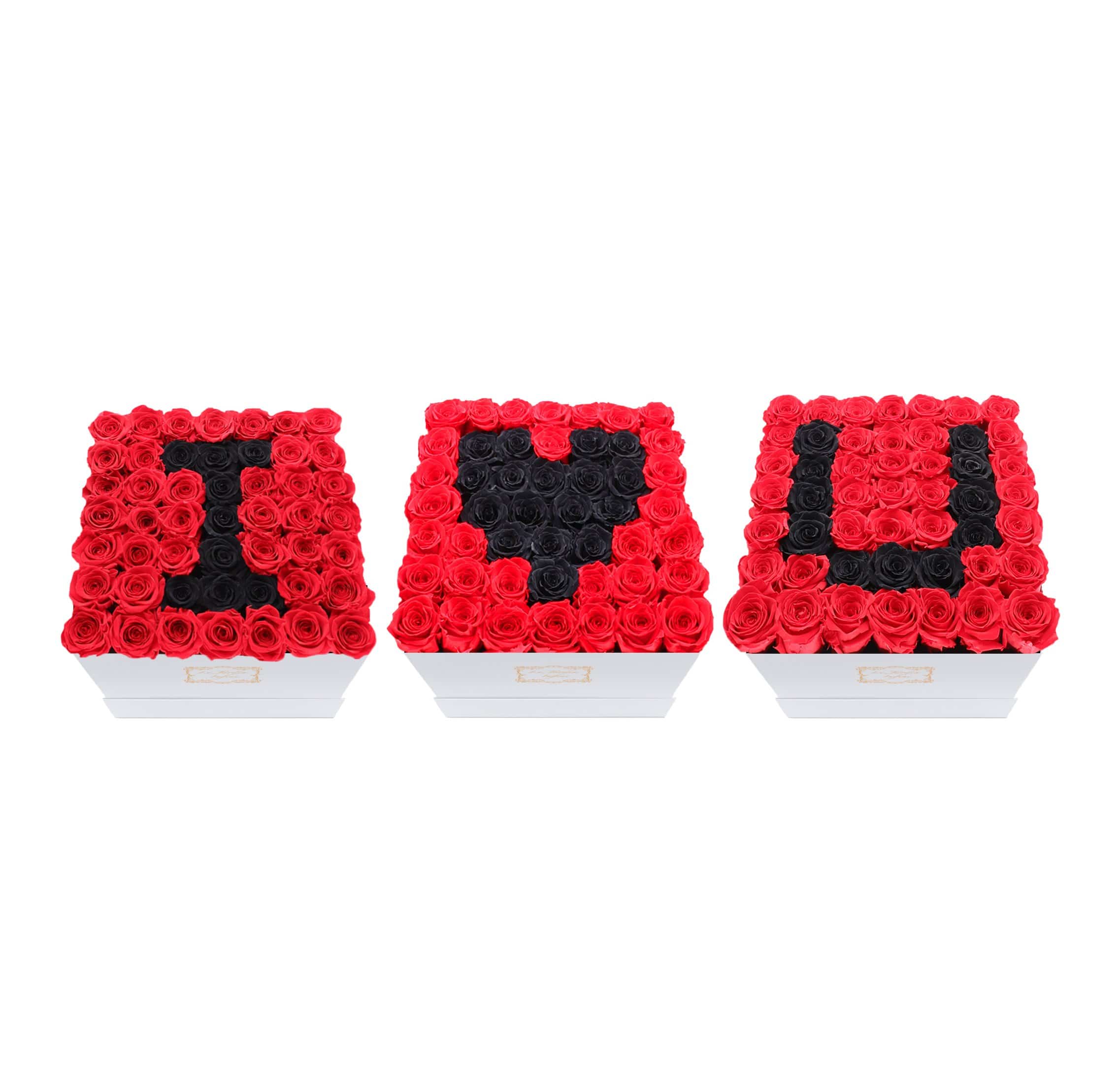 I Love U Set Black & Red Preserved Roses - Large Square Luxury White Box - Le Jardin Infini Roses in a Box