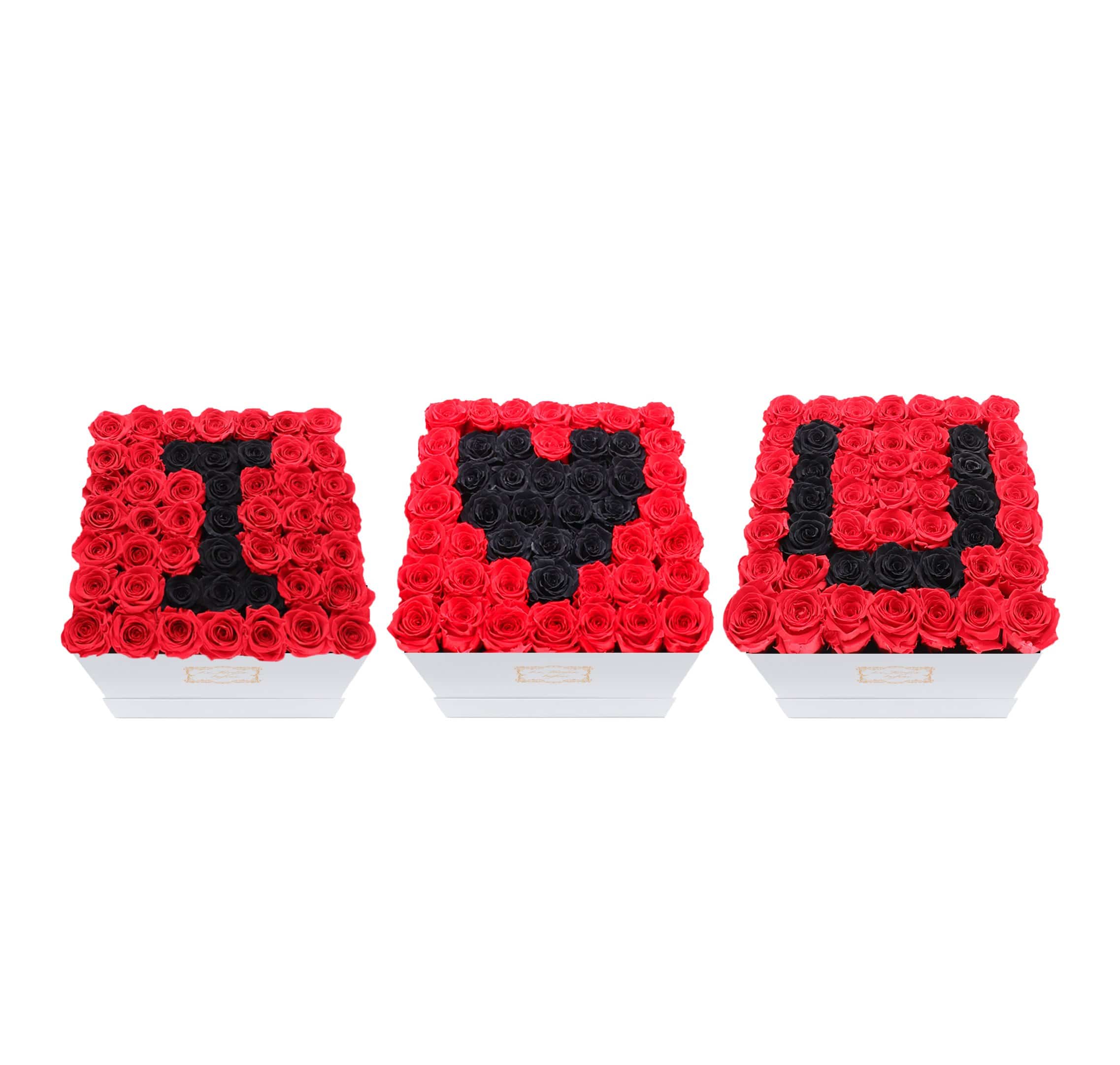 I Love U Set Black & Red Preserved Roses - Large Square Luxury White Box - Le Jardin Infini Roses in a Box