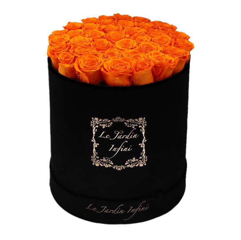 Orange Preserved Roses - Large Round Luxury Black Suede Box - Le Jardin Infini Roses in a Box