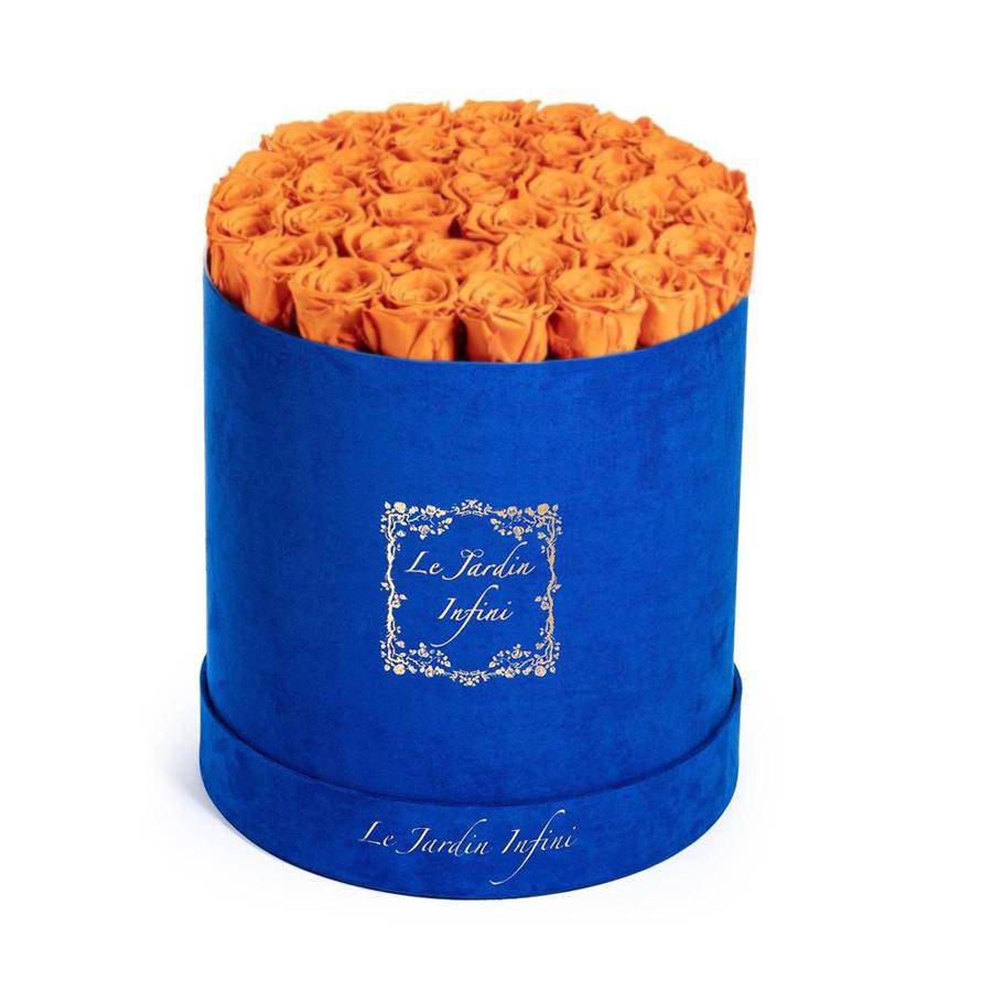 Orange Preserved Roses - Large Round Luxury Blue Suede Box - Le Jardin Infini Roses in a Box