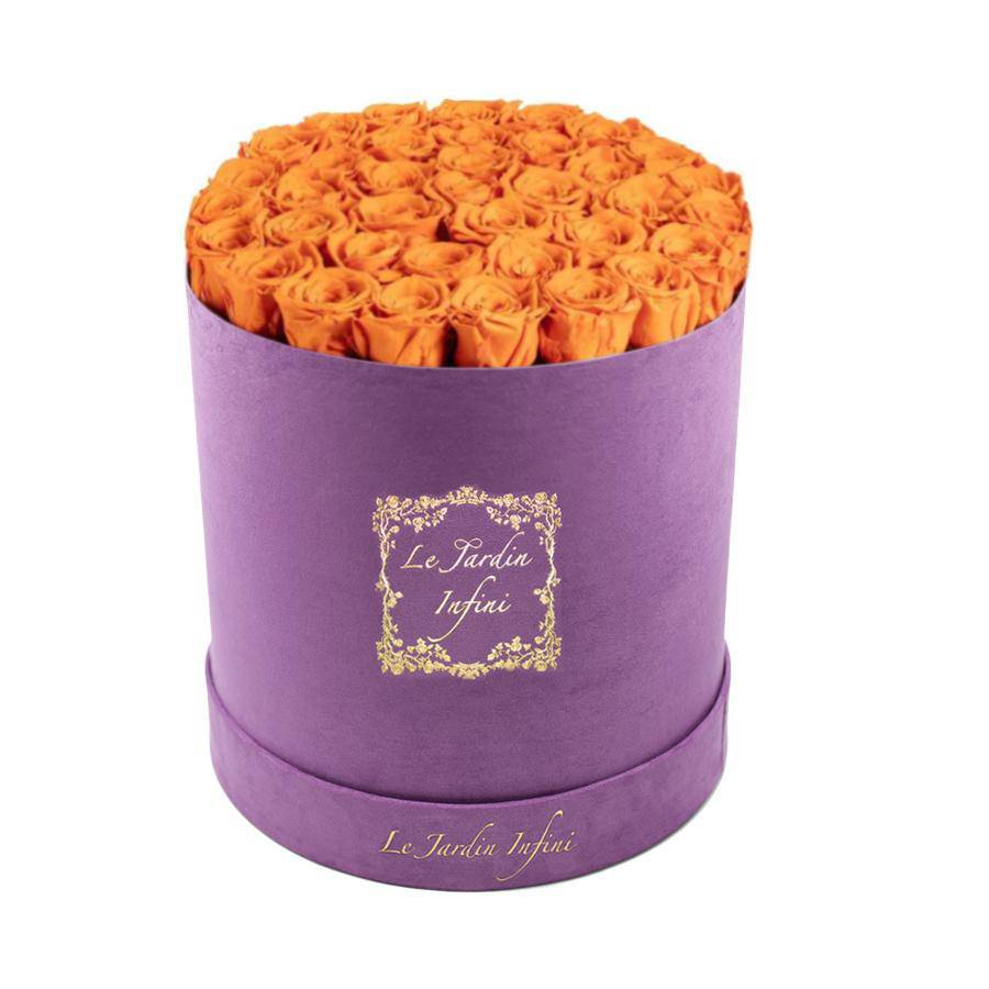 Orange Preserved Roses - Large Round Luxury Purple Suede Box - Le Jardin Infini Roses in a Box