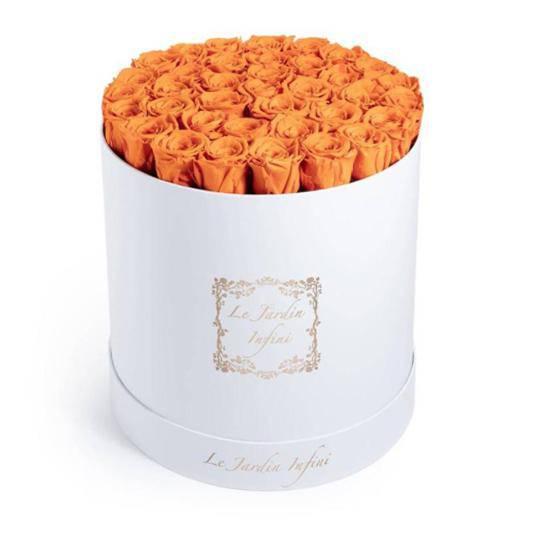 Orange Preserved Roses - Large Round Luxury White Box