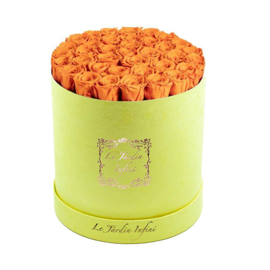 Orange Preserved Roses - Large Round Luxury Yellow Suede Box - Le Jardin Infini Roses in a Box