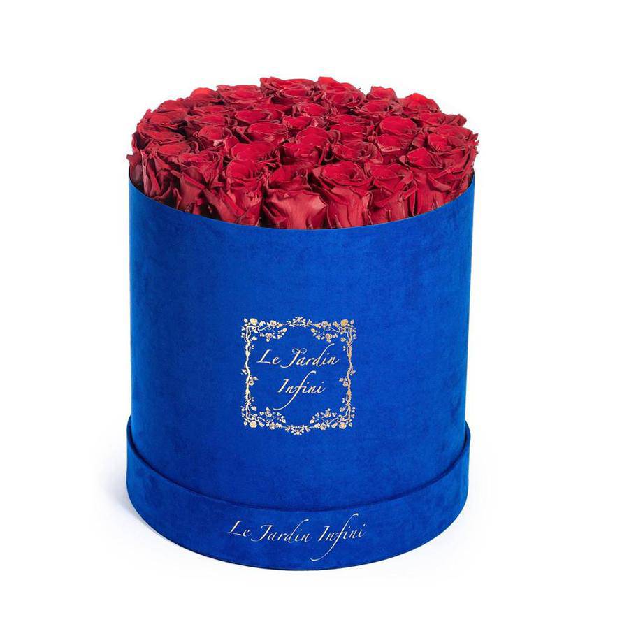 Red Preserved Roses - Large Round Luxury Blue Suede Box - Le Jardin Infini Roses in a Box