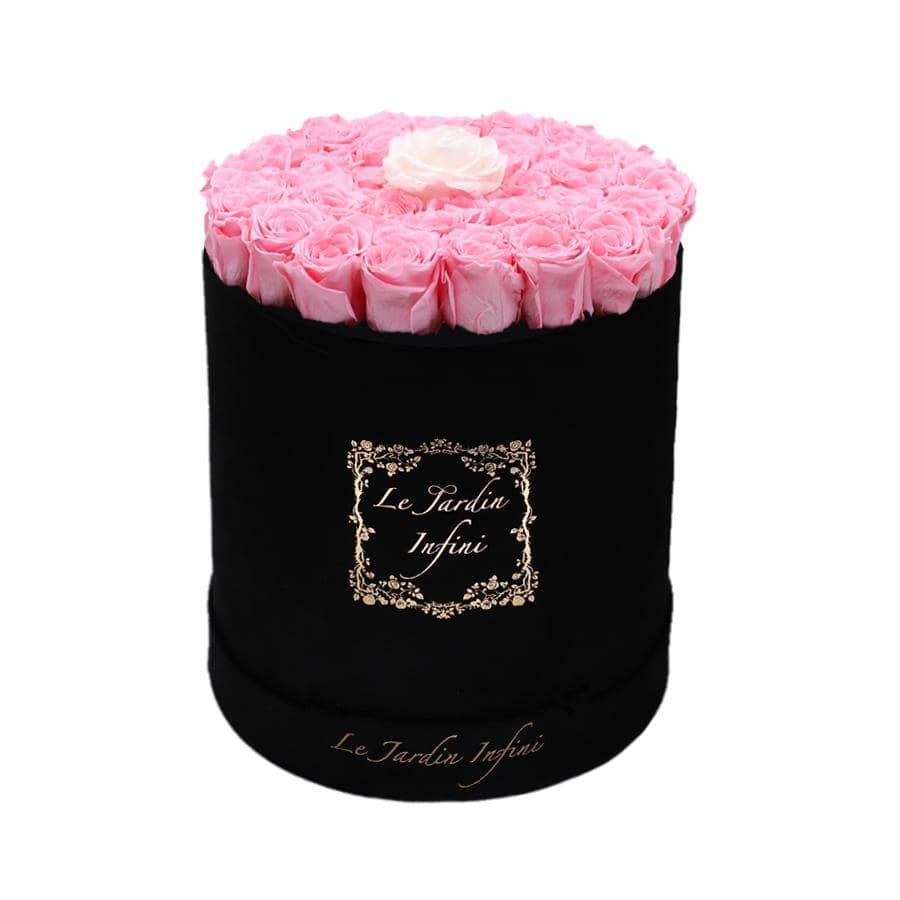 Single Champagne & Soft Pink Preserved Roses - Large Round Black Suede Box - Le Jardin Infini Roses in a Box