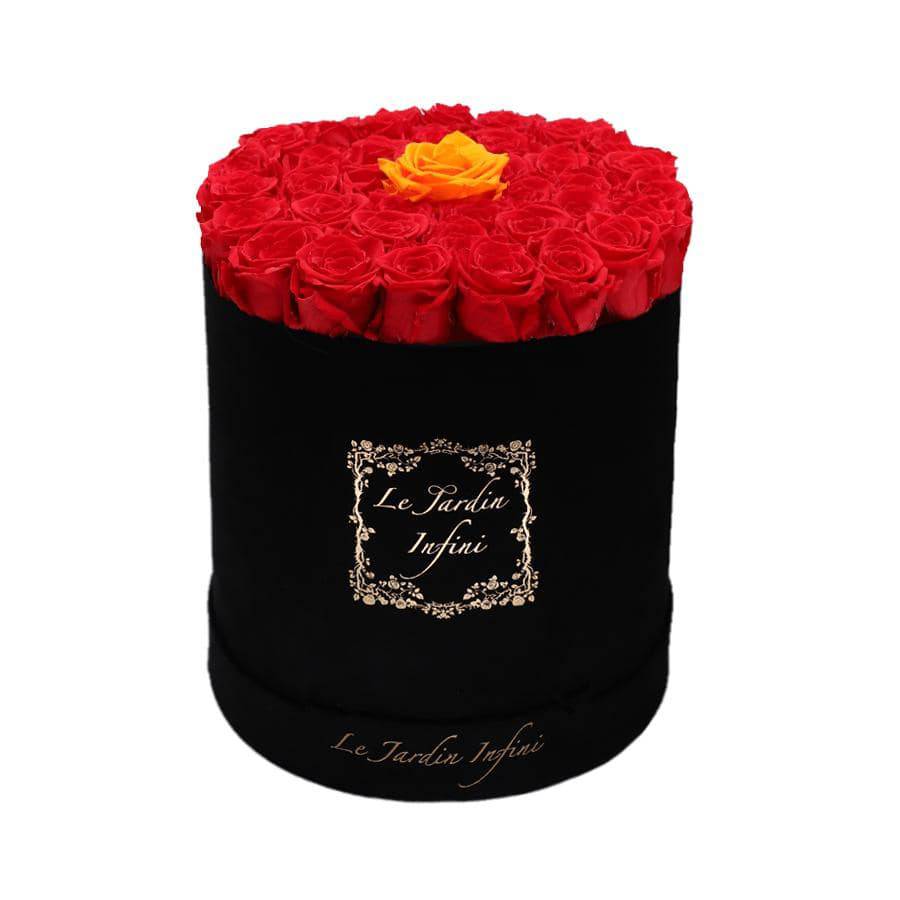 Single Orange & Red Preserved Roses - Large Round Black Suede Box - Le Jardin Infini Roses in a Box