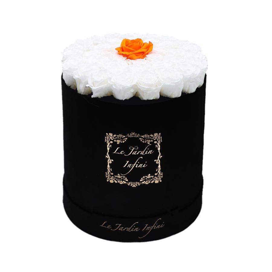 Single Orange & White Preserved Roses - Large Round Black Suede Box - Le Jardin Infini Roses in a Box