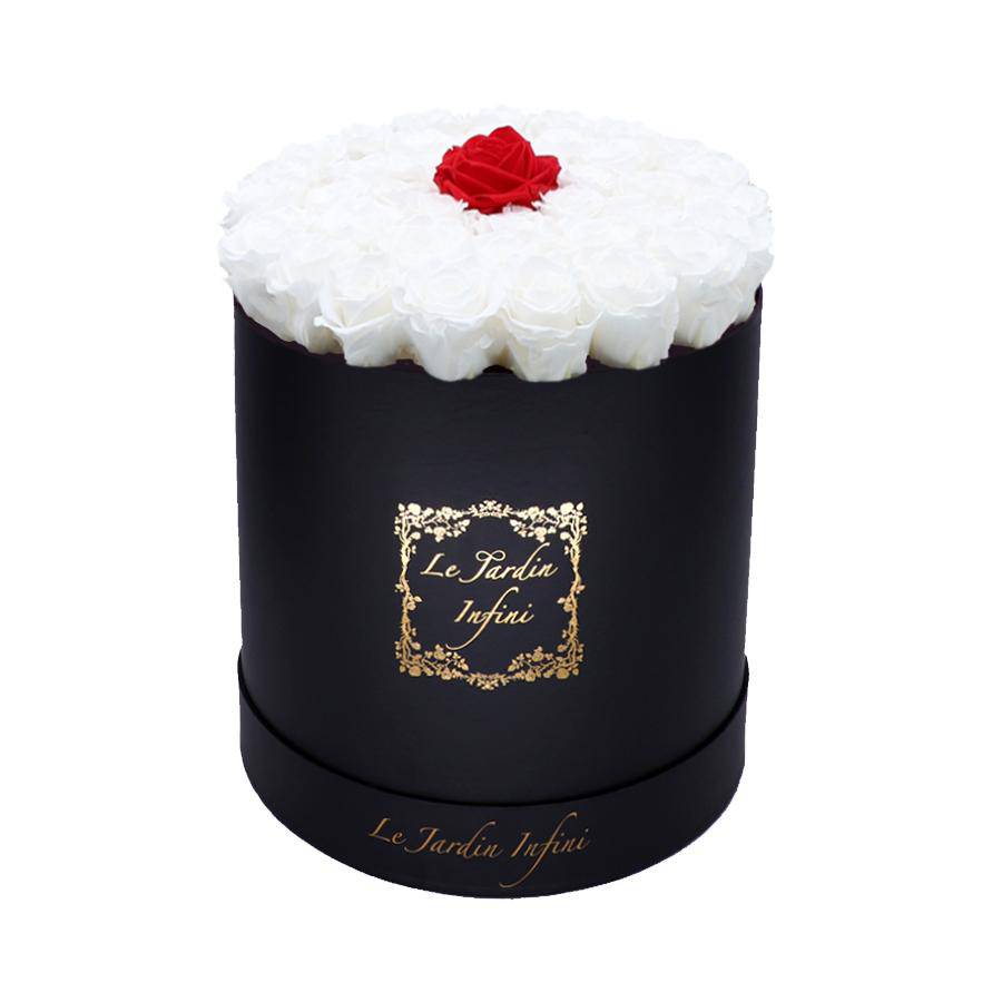 Single Red & White Preserved Roses - Large Round Black Box