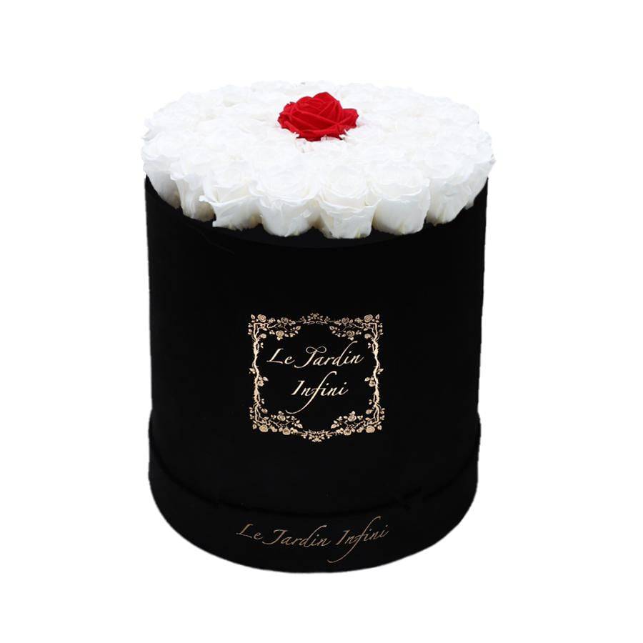 Single Red & White Roses in a Box - Large Round Black Suede Box