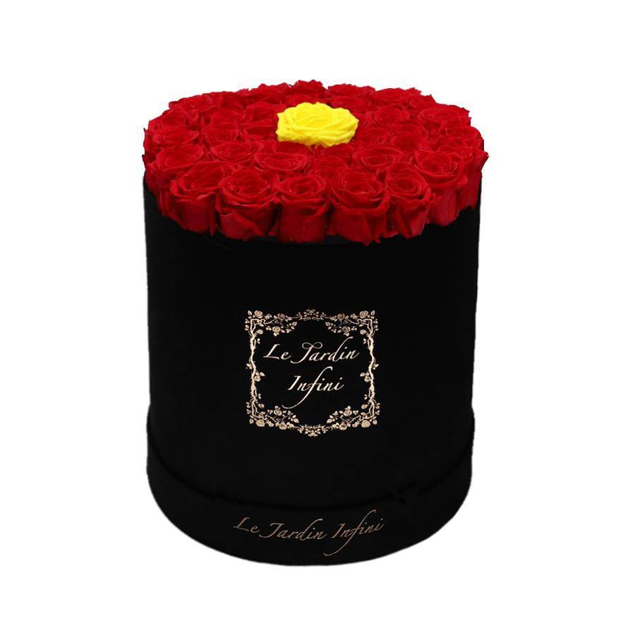Single Warm Yellow & Red Preserved Roses - Large Round Black Suede Box - Le Jardin Infini Roses in a Box