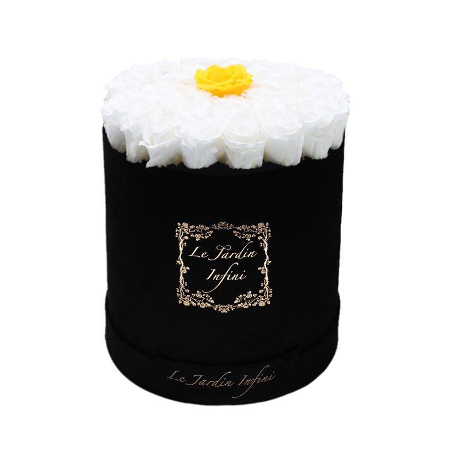 Single Warm Yellow & White Preserved Roses - Large Round Black Suede Box