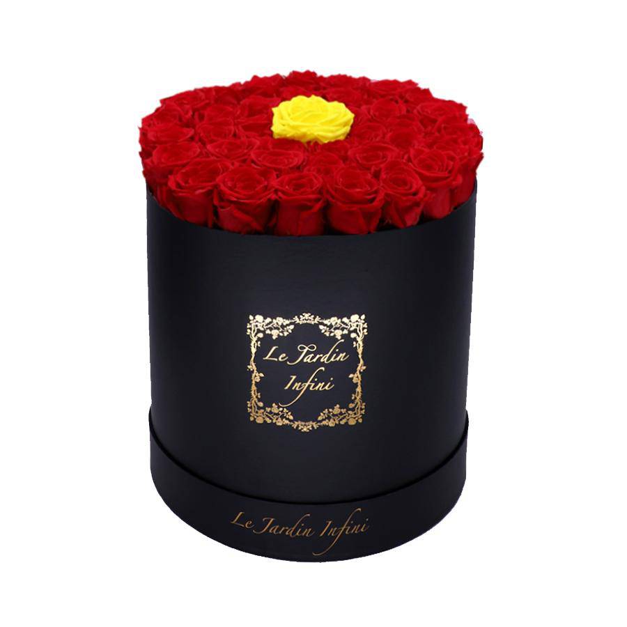 Single Yellow & Red Preserved Roses - Large Round Black Box - Le Jardin Infini Roses in a Box
