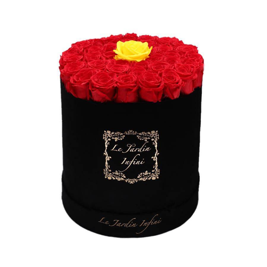 Single Yellow & Red Preserved Roses - Large Round Black Suede Box - Le Jardin Infini Roses in a Box