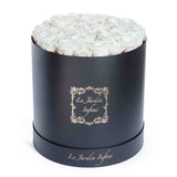 Preserved Roses Custom box - Large Round Box - Le Jardin Infini Roses in a Box