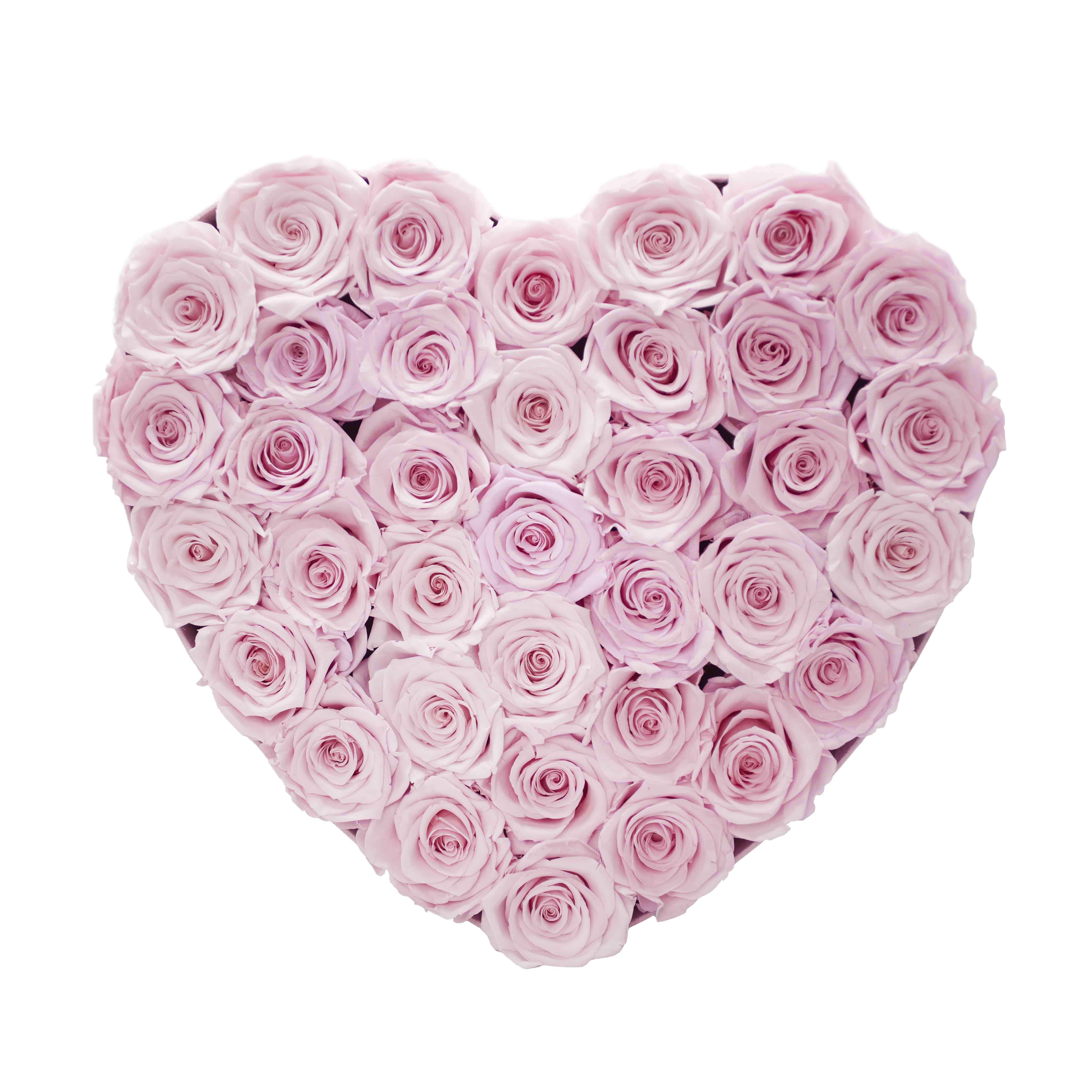 36 Soft Pink Preserved Roses in A Heart Shaped Box - Small Heart Luxury Pink Suede Box - Le Jardin Infini Roses in a Box