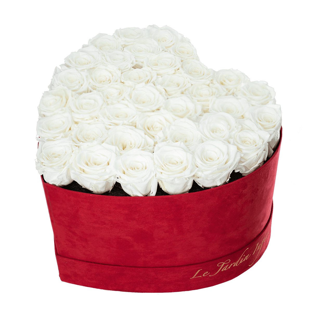 36 White Preserved Roses in A Heart Shaped Box - Small Heart Luxury Red Suede Box
