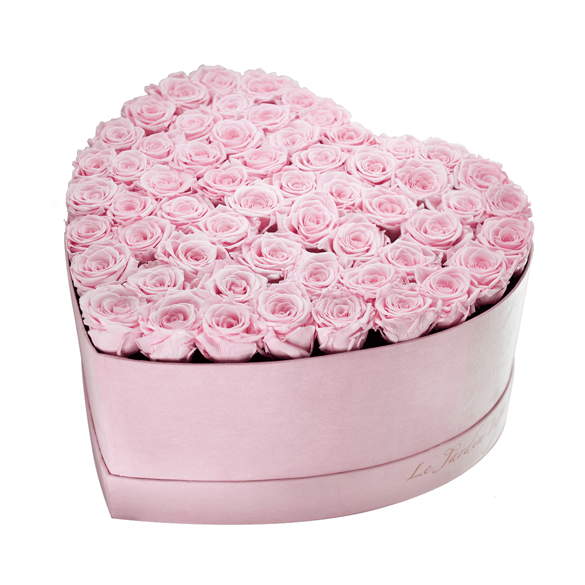 65-75 Soft Pink Preserved Roses in A Heart Shaped Box - Medium Heart Luxury Pink Suede Box