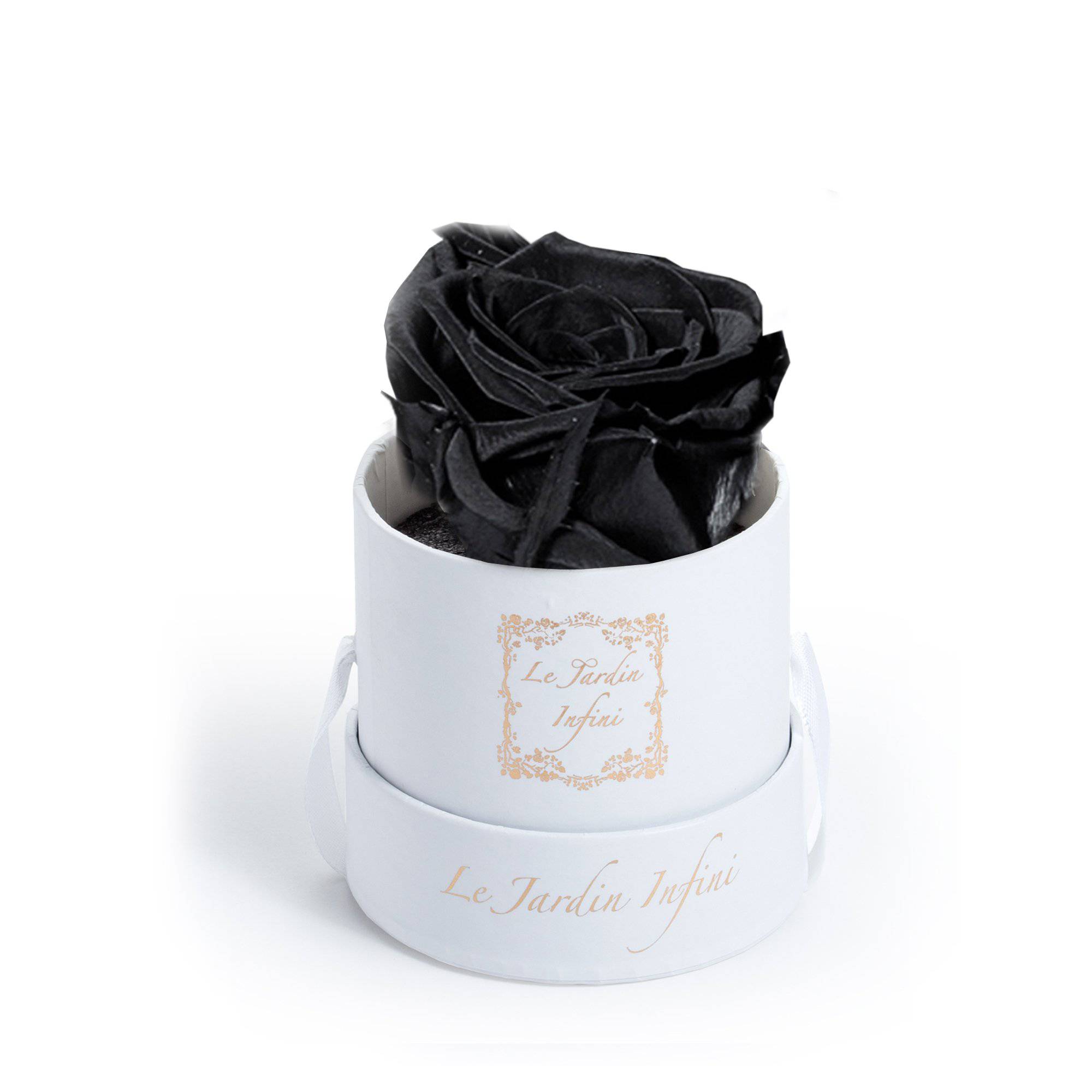 Black Preserved Rose in a Box - Small Round White Box - Le Jardin Infini Roses in a Box