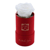 Custom Preserved Rose - Small Round Box - Le Jardin Infini Roses in a Box